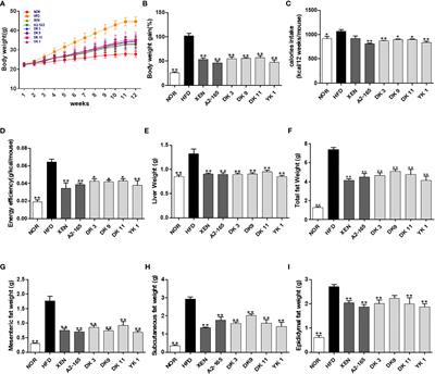 Pharmaceutical efficacy of novel human-origin Faecalibacterium prausnitzii strains on high-fat-diet-induced obesity and associated metabolic disorders in mice